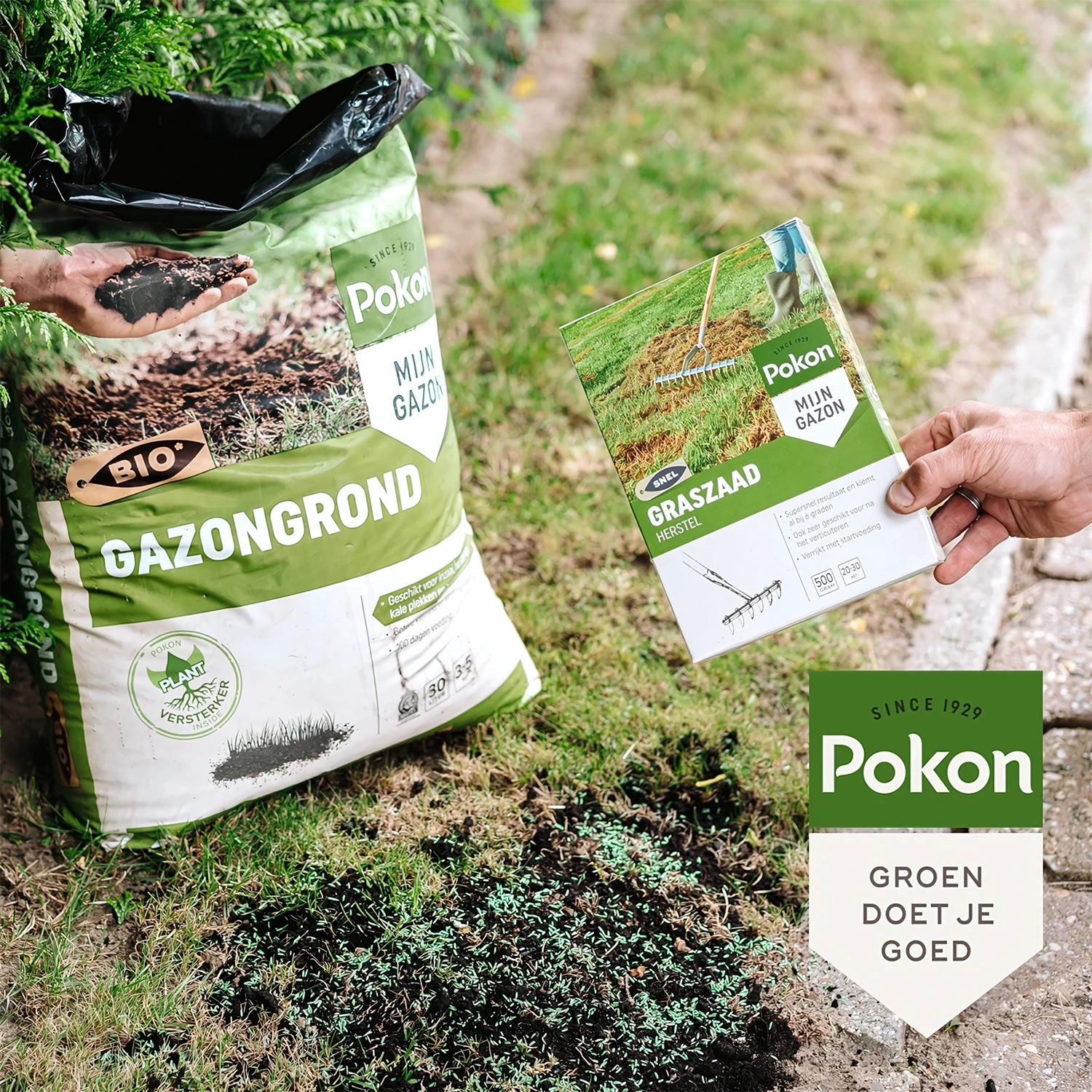 Pokon Graszaad Herstel - 1kg-image