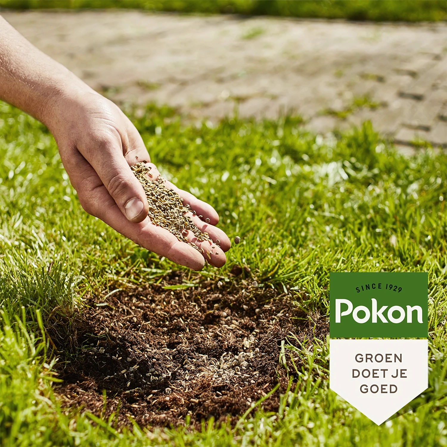 Pokon Kale Plekken Hersteller - 200gr-image