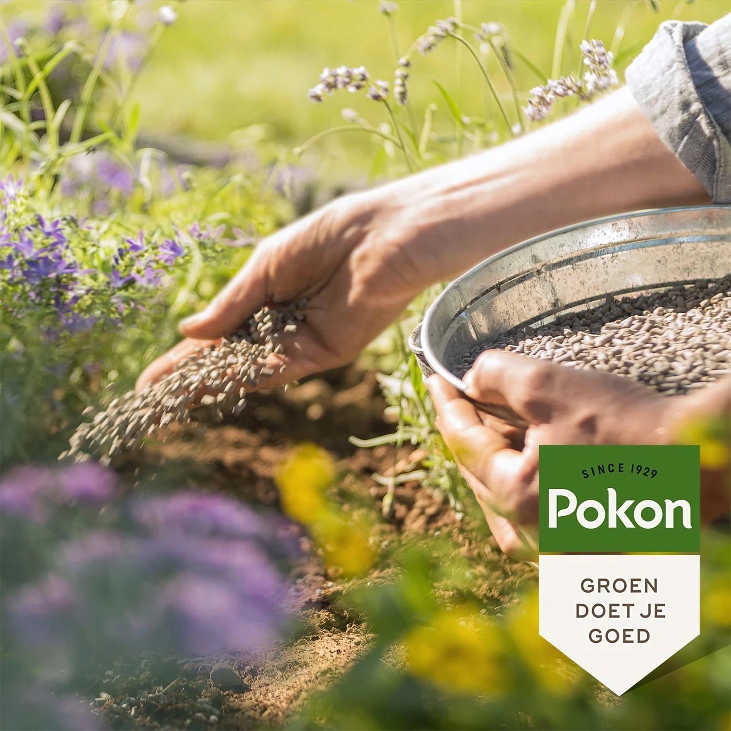 Pokon Engrais de jardin - 1 kg-image