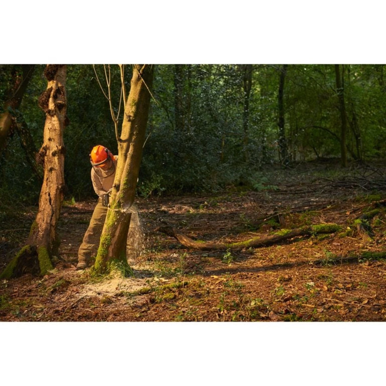 Ryobi RY36CSX35A-150 36V Li-Ion accu kettingzaag set (1x 5.0Ah) - 35cm-image