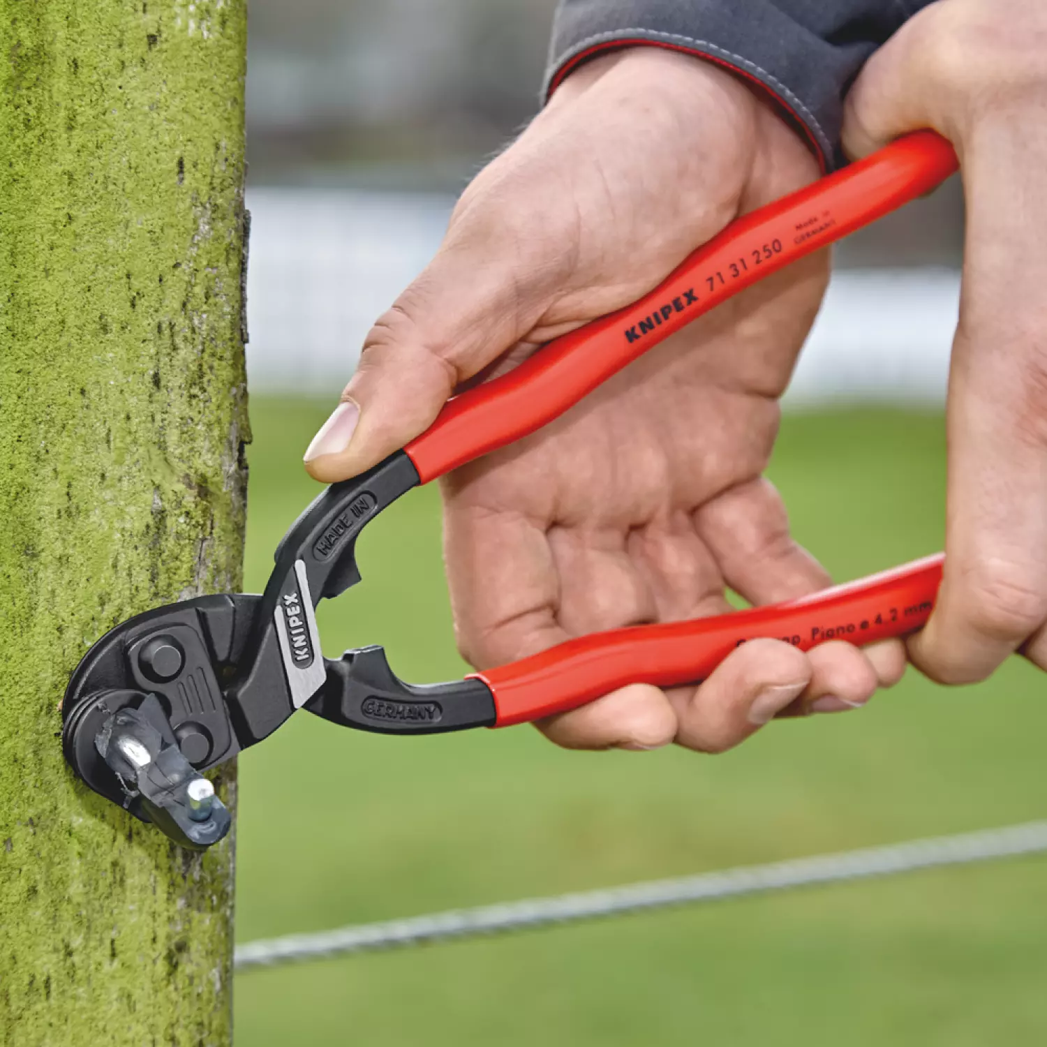 Knipex 7131250 CoBolt XL Boutensnijder - Compact - 250mm-image