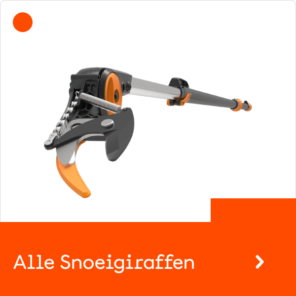 Snoeien en snoeitips-image