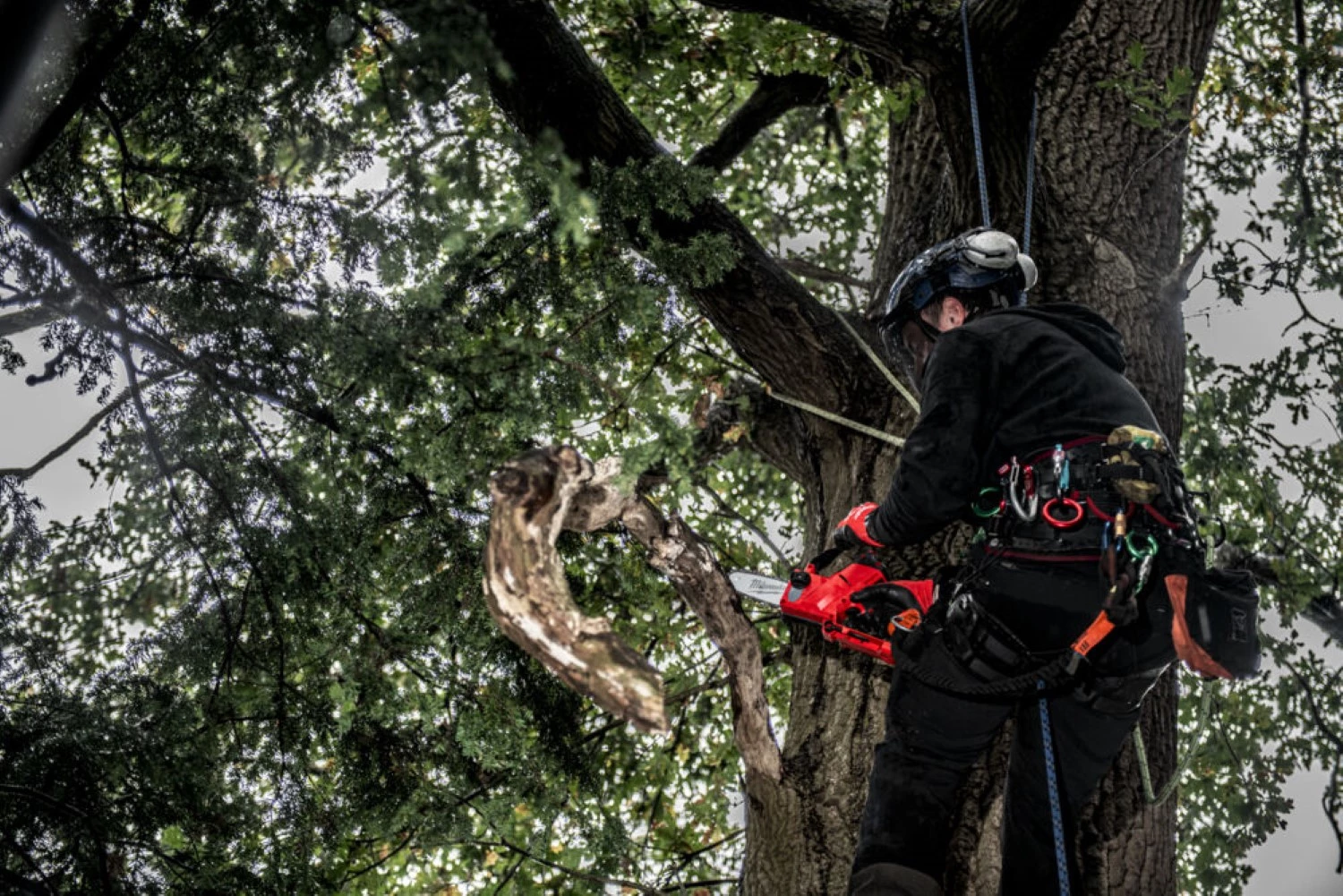 Milwaukee M12 FHS-0 Tronçonneuse sans fil-image