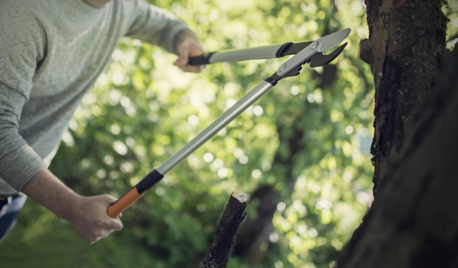 Fiskars 1020188 PowerGear™ X Takkenschaar bypass L-image