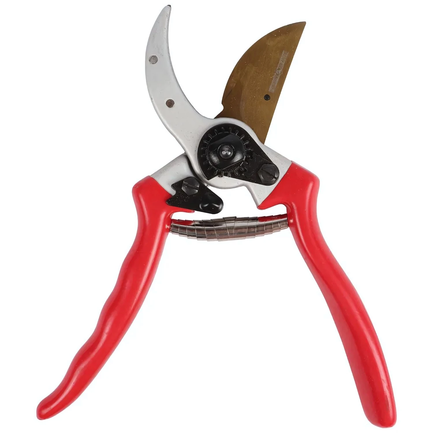 Talen Tools F191 Snoeischaar - Professioneel - Titanium - Voorbijsnijdend