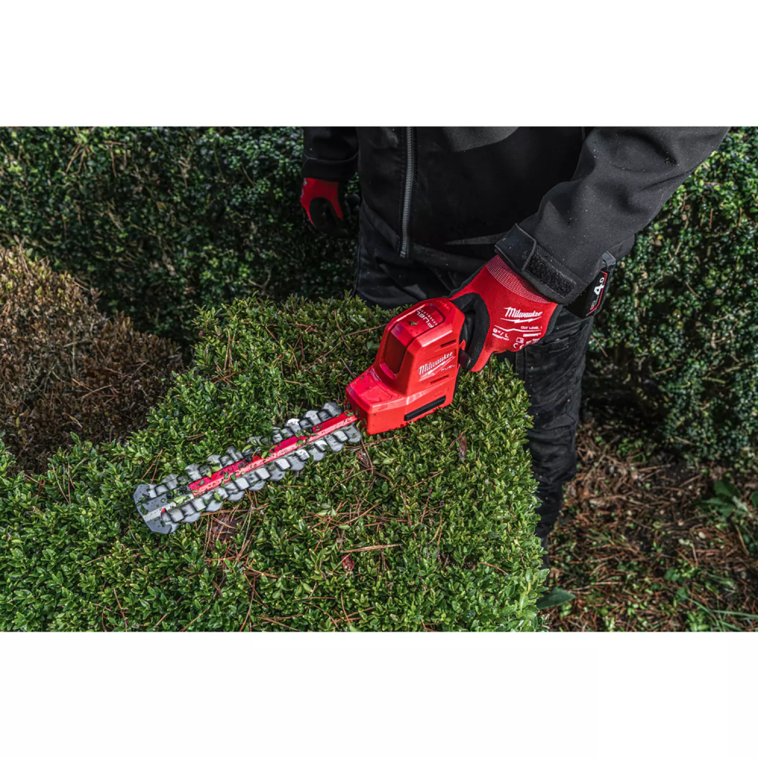 Milwaukee M12 FHT20-0 M12 FUEL™ 12V Li-Ion Batterie taille-haie machine seul  - 200 mm -  moteur sans charbon-image