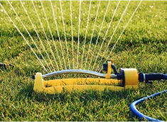 Top 10 Tuinproducten-image