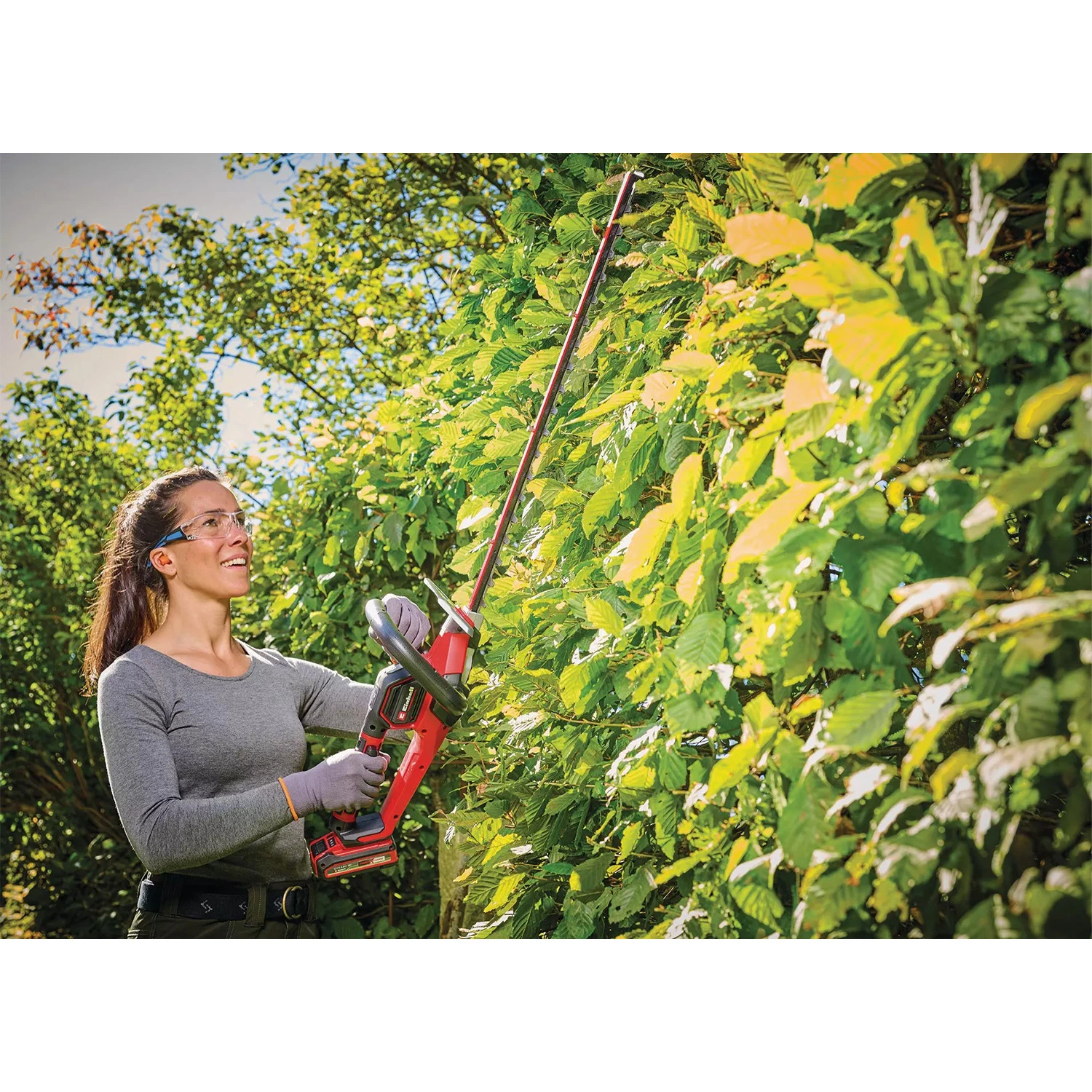 Einhell Professional GP-CH 18/61 Li BL Solo 18V Li-Ion taille-haie à batterie - 610 mm - sans balais-image