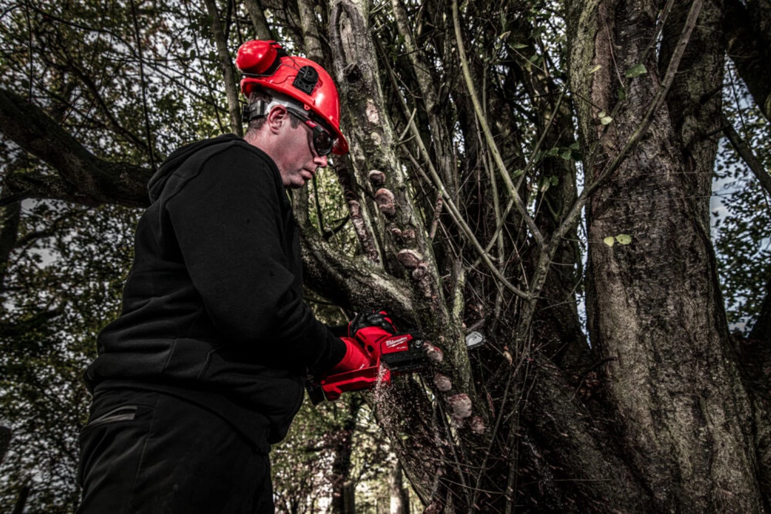 Milwaukee M12 FHS-0 Tronçonneuse sans fil-image