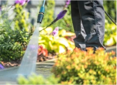 Hoe onderhoud je je tuin?-image