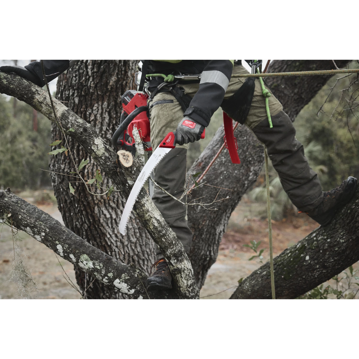 Milwaukee 4932498623 Scie courbe-image