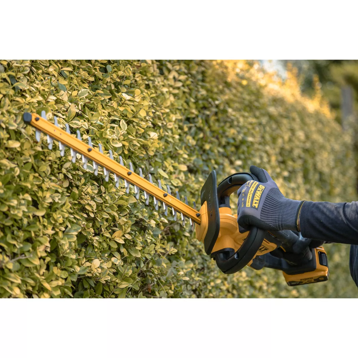 DeWALT DCMHT564P1-QW Kit taille-haie sans fil 18 V XR Li-ion (1 batterie 5,0 Ah) - 550 mm-image