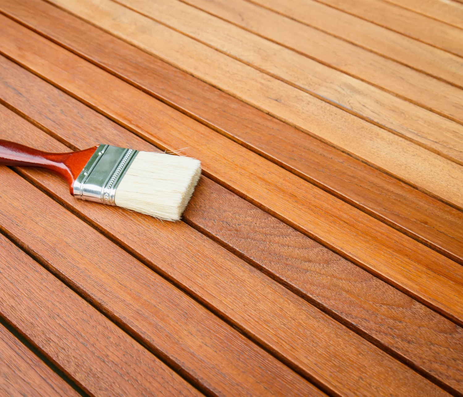 Mathys Fassitek - notelaar - 2,5L-image