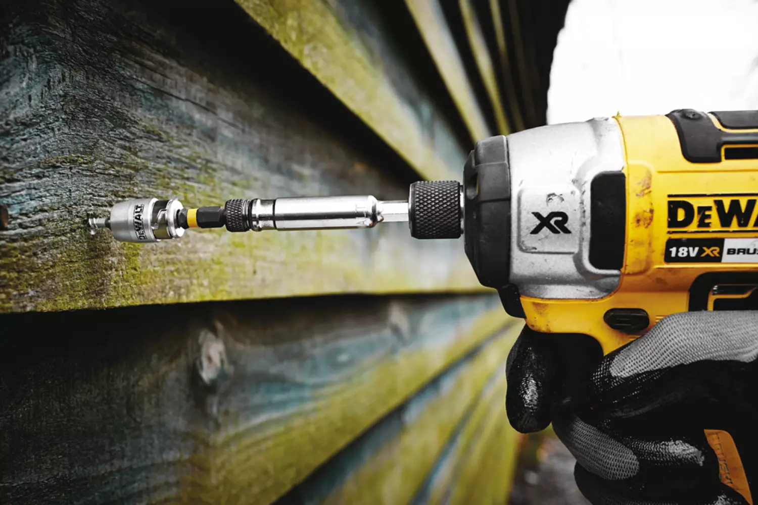 DeWALT DT7391T-QZ Extreme Impact Torsion schroefbits - PZ2 - 50mm (5st)-image
