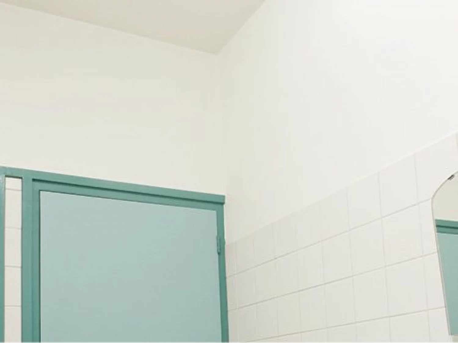 Rust-Oleum 5090.20 Peinture murale-image