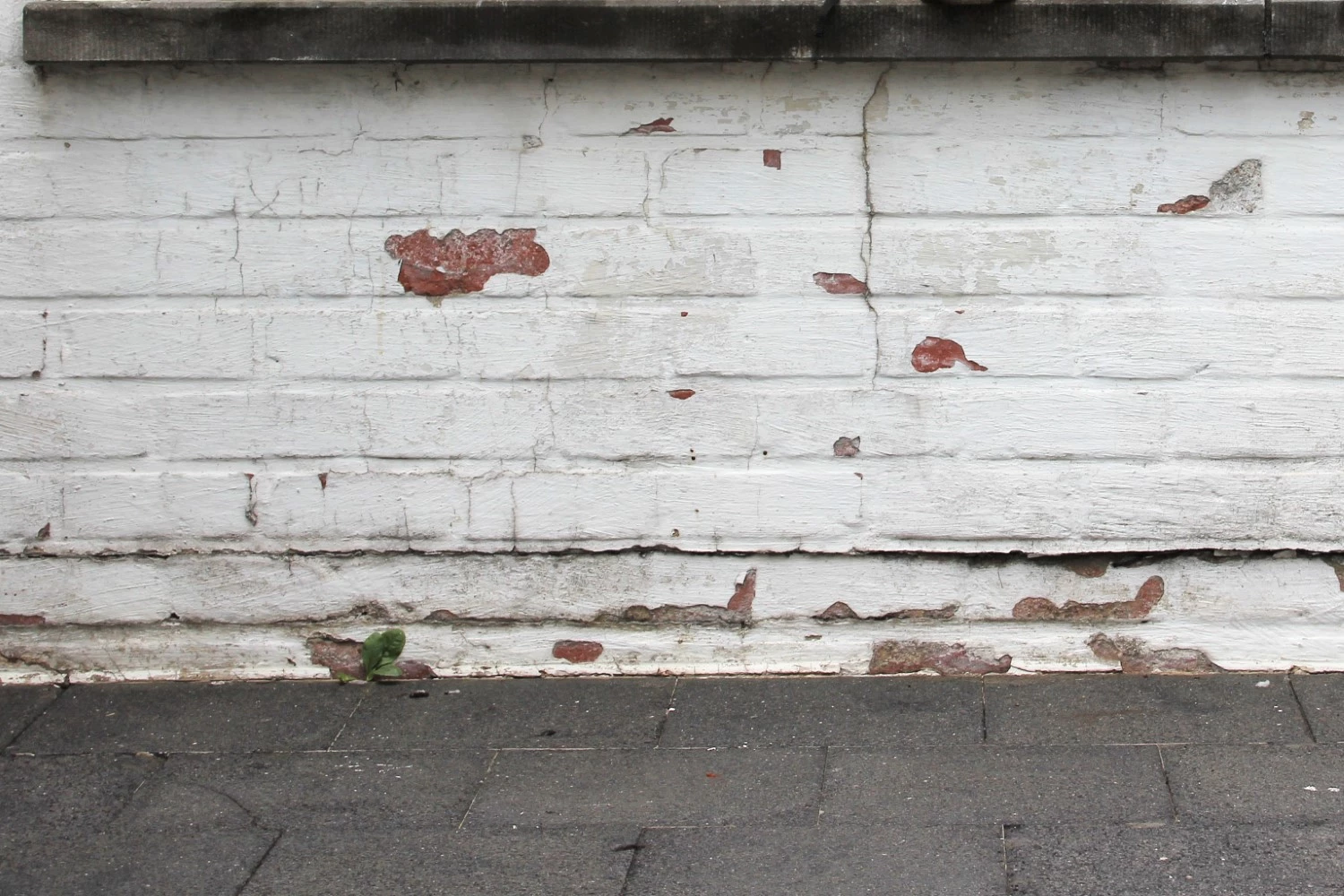 TEC7 WP7-402 Stop Opstijgend Vocht - 550ML+TIP (3st)-image