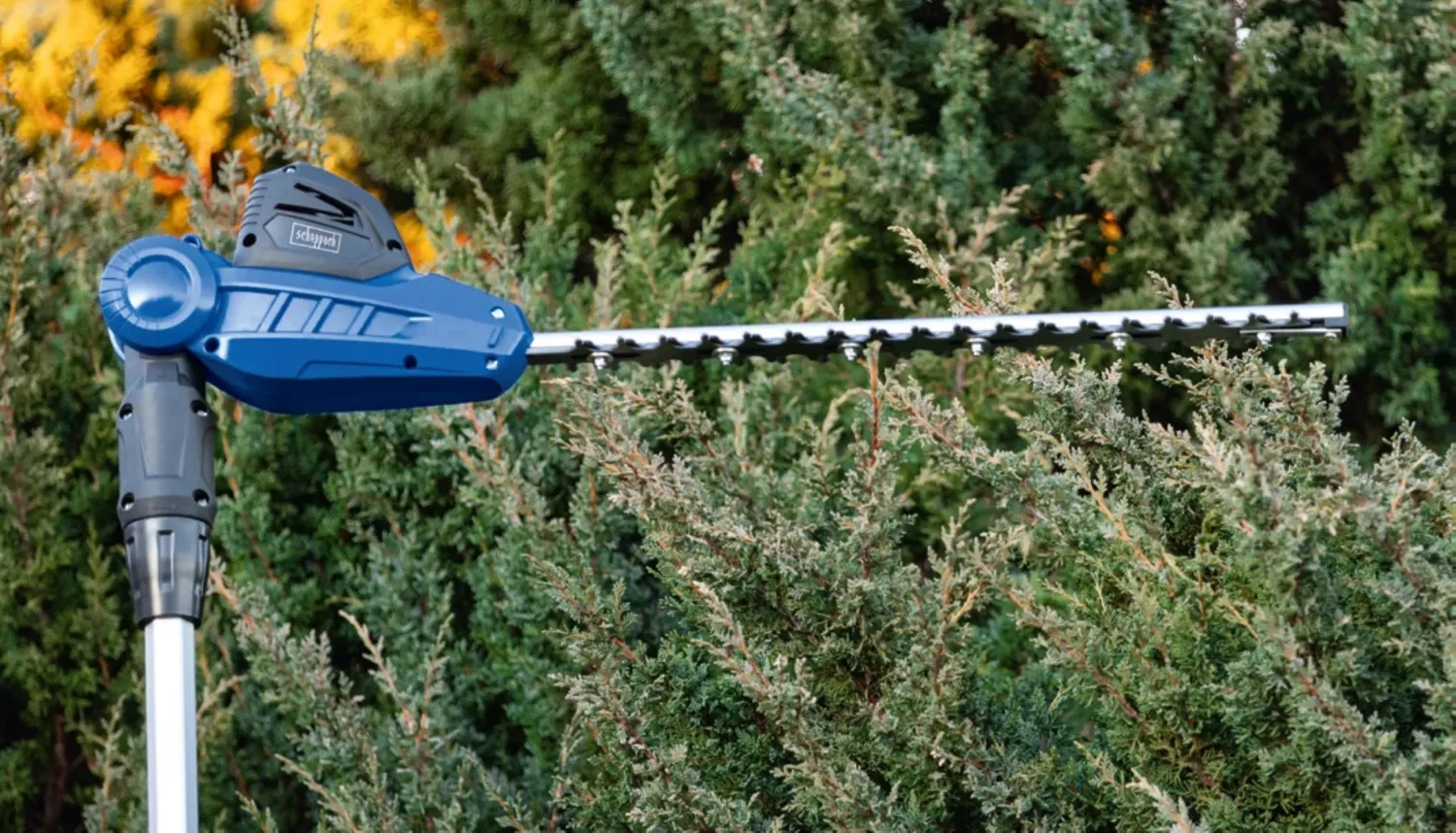 Scheppach Machine de jardinage sans fil 2 en 1 20 V C-PHTS410-X-image