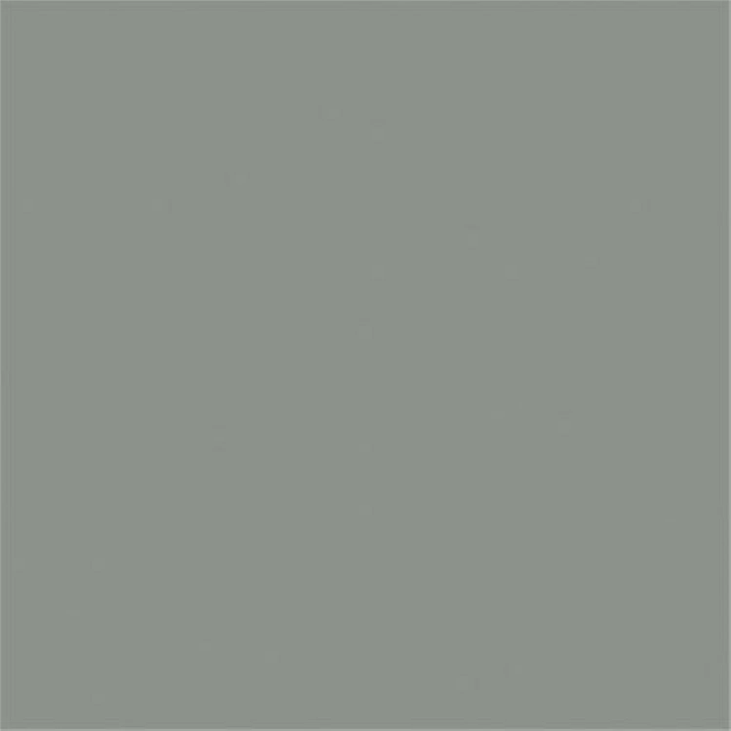 Sikkens 5797685 Rijks Tester Groen Grijs - 30ml-image