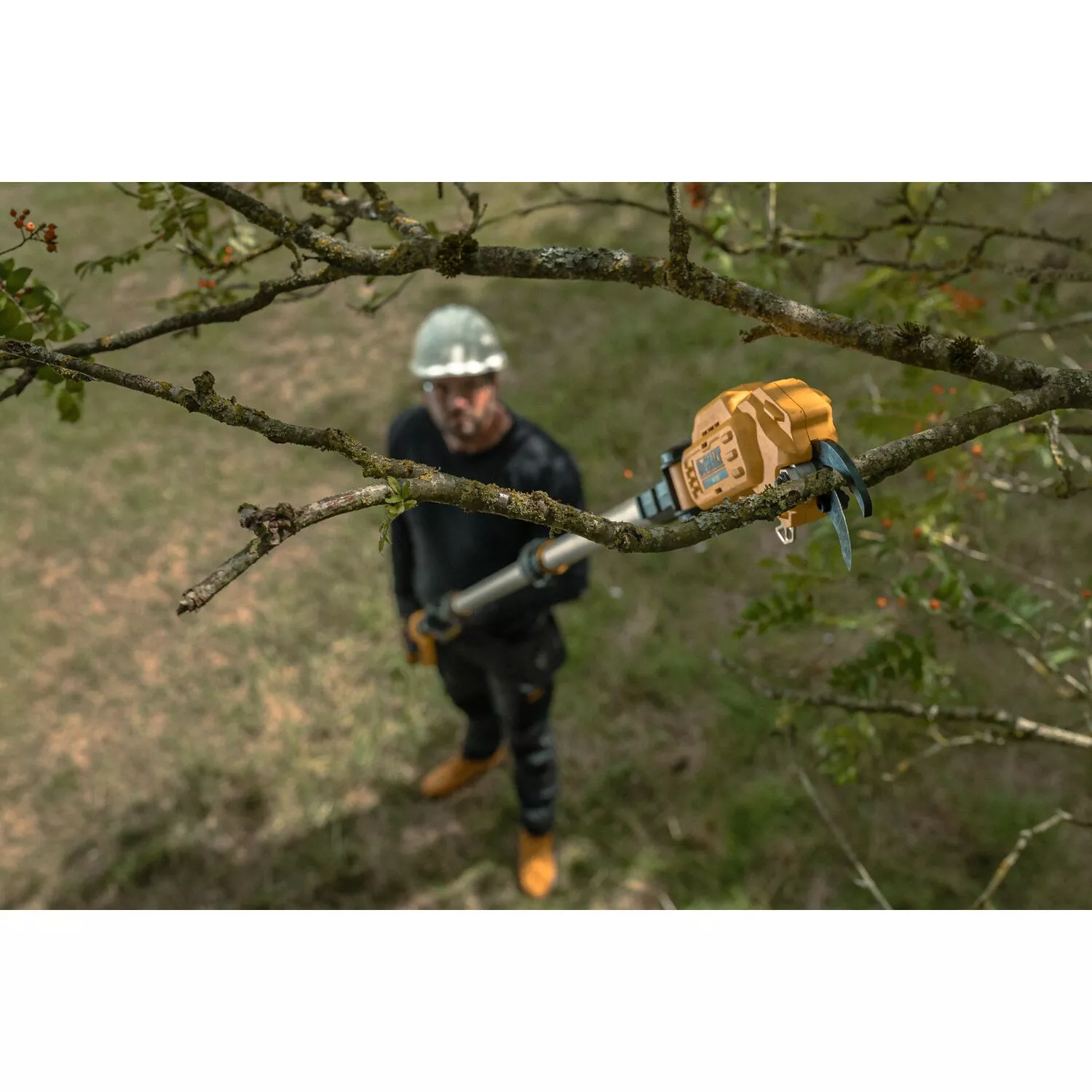 DeWALT DCMPP569P1 Kit sécateur sans fil Li-ion 18 V (1 batterie 5,0 Ah)-image