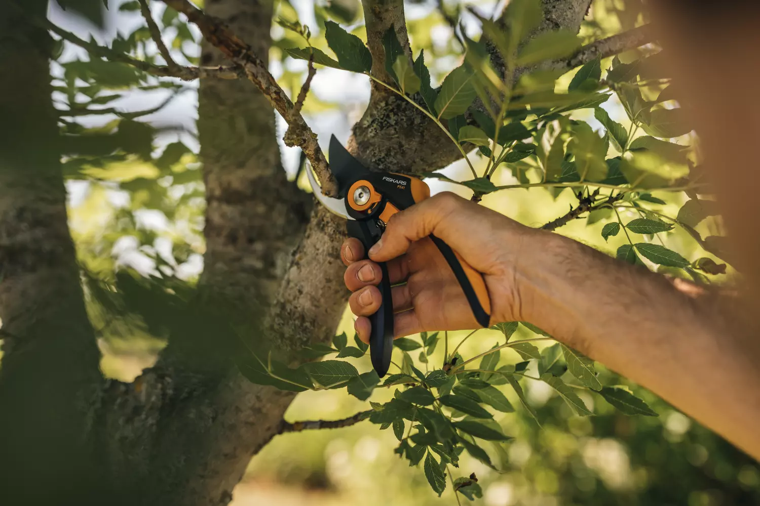 Fiskars 1057169 plus SmartFit Pruning Shearer Bypass P541 - 24 mm-image