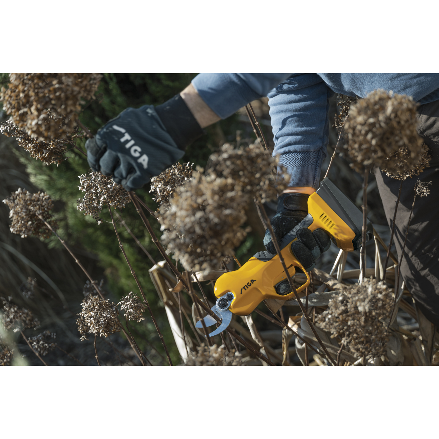 Stiga SC 100e kit Accu snoeischaar (1x 2,0Ah accu) - 20V-image