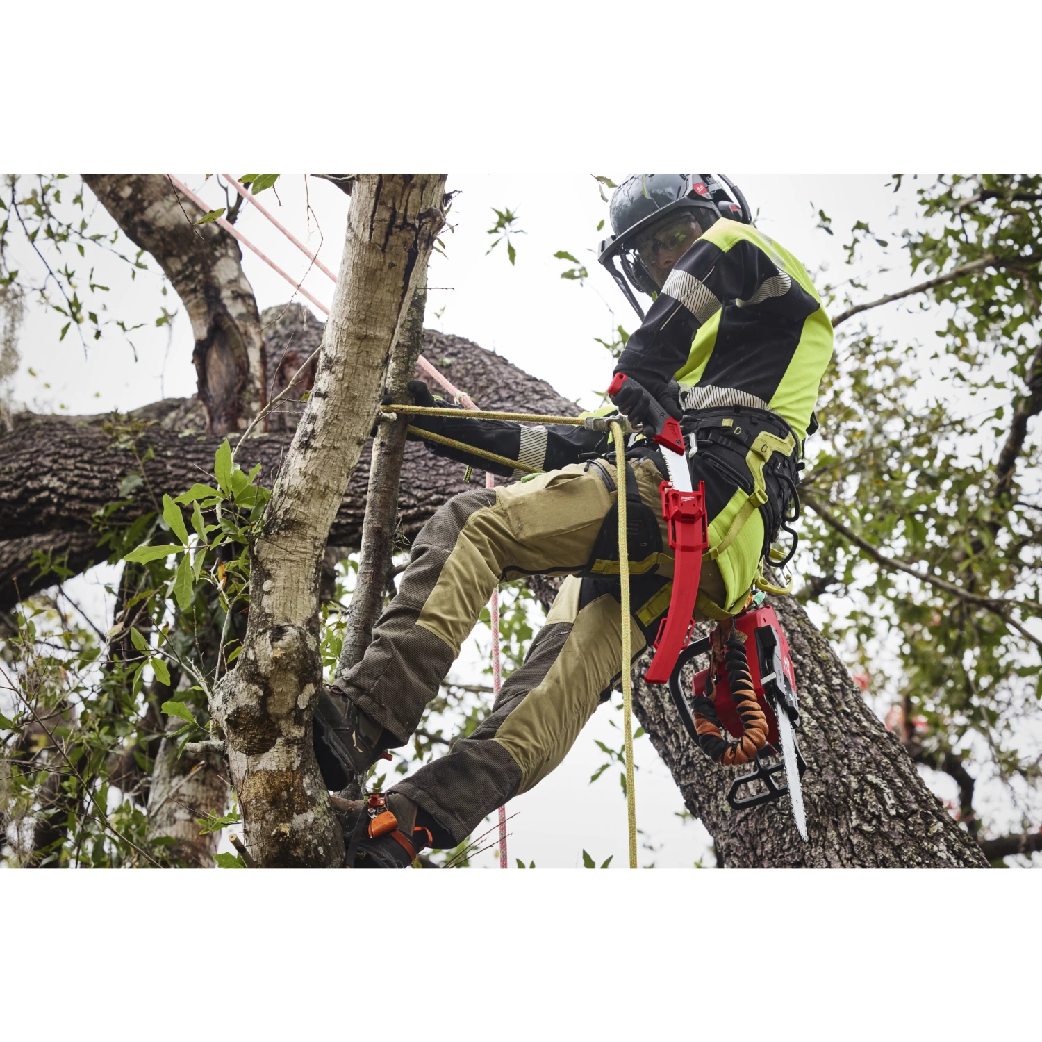 Milwaukee 4932498623 Scie courbe-image