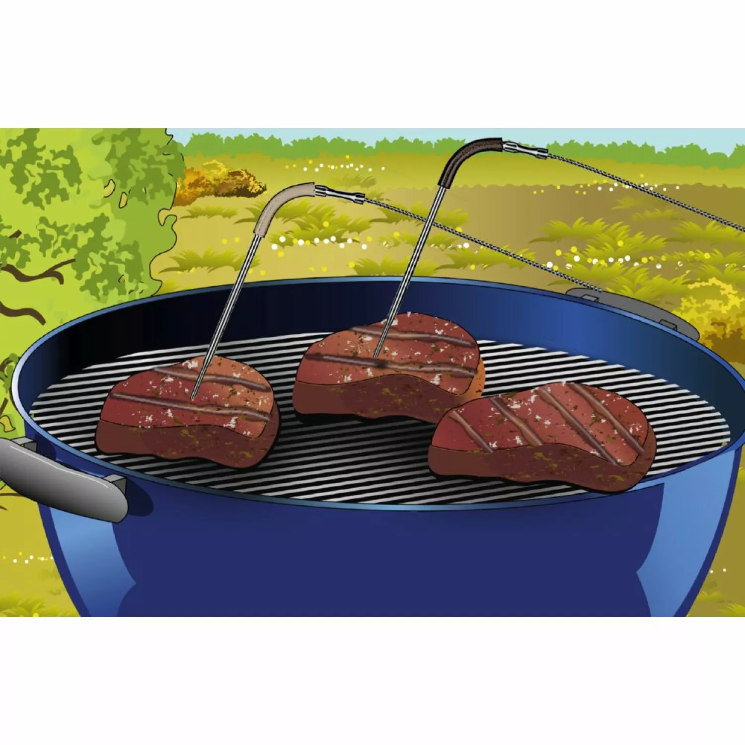 Laserliner 082.429A - Thermomètre numérique pour degré cuisson plats à base de viande ThermoControl