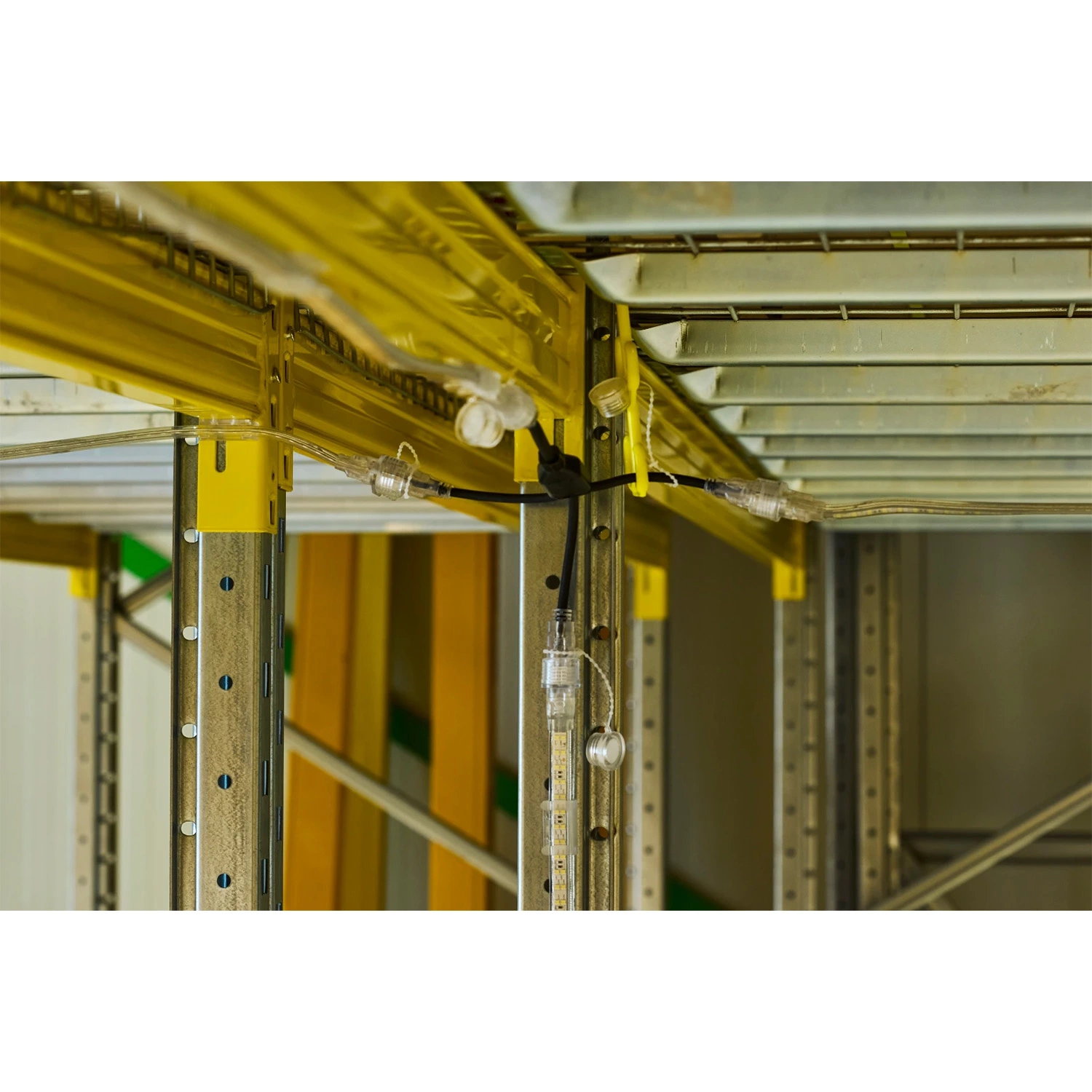 Bailey 146945 Splitter 3-uitgangen (3Y) voor LED Rope Plus-image