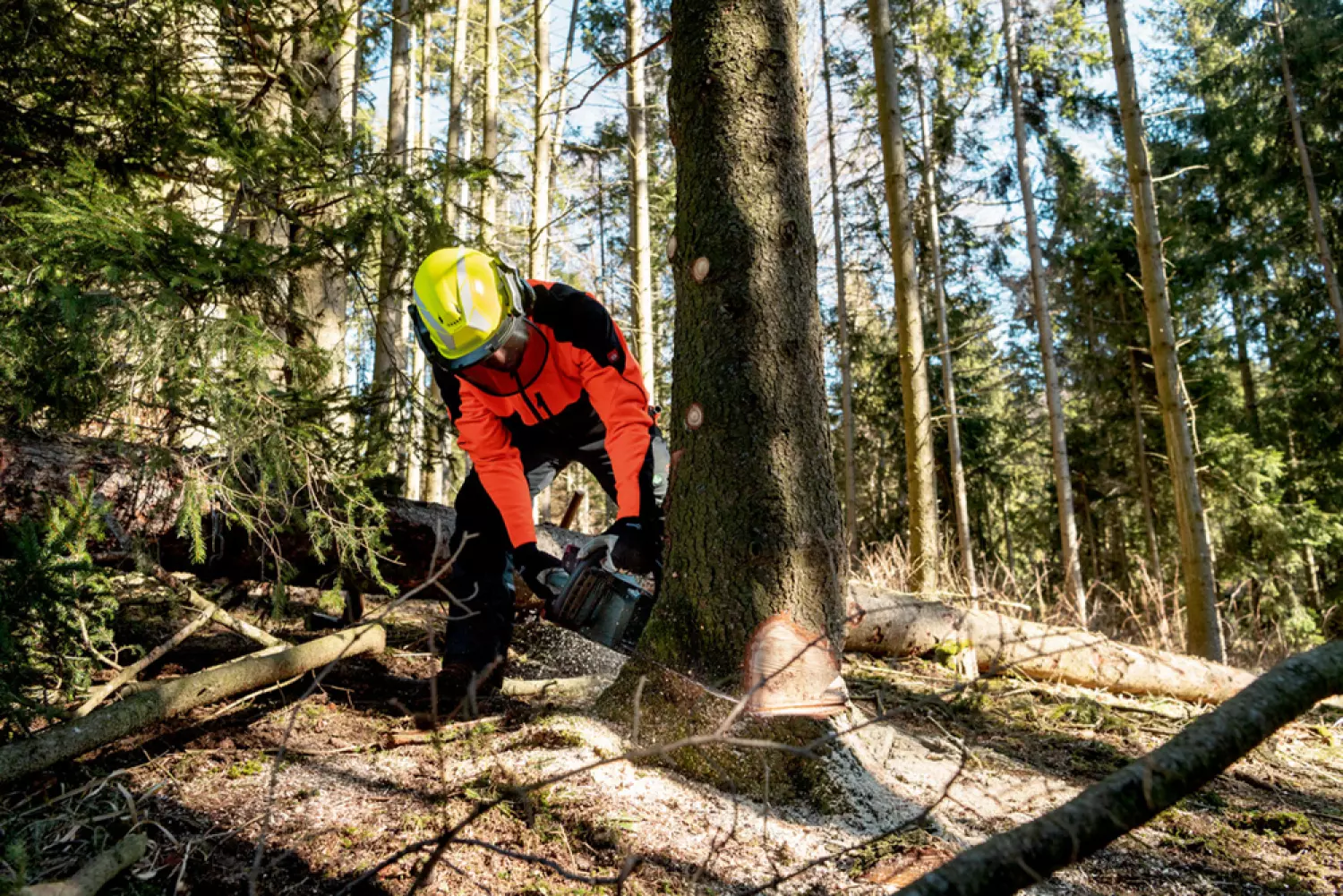 Metabo MS 36-18 LTX BL 40 36V Li-Ion accu kettingzaag body - 36cm-image