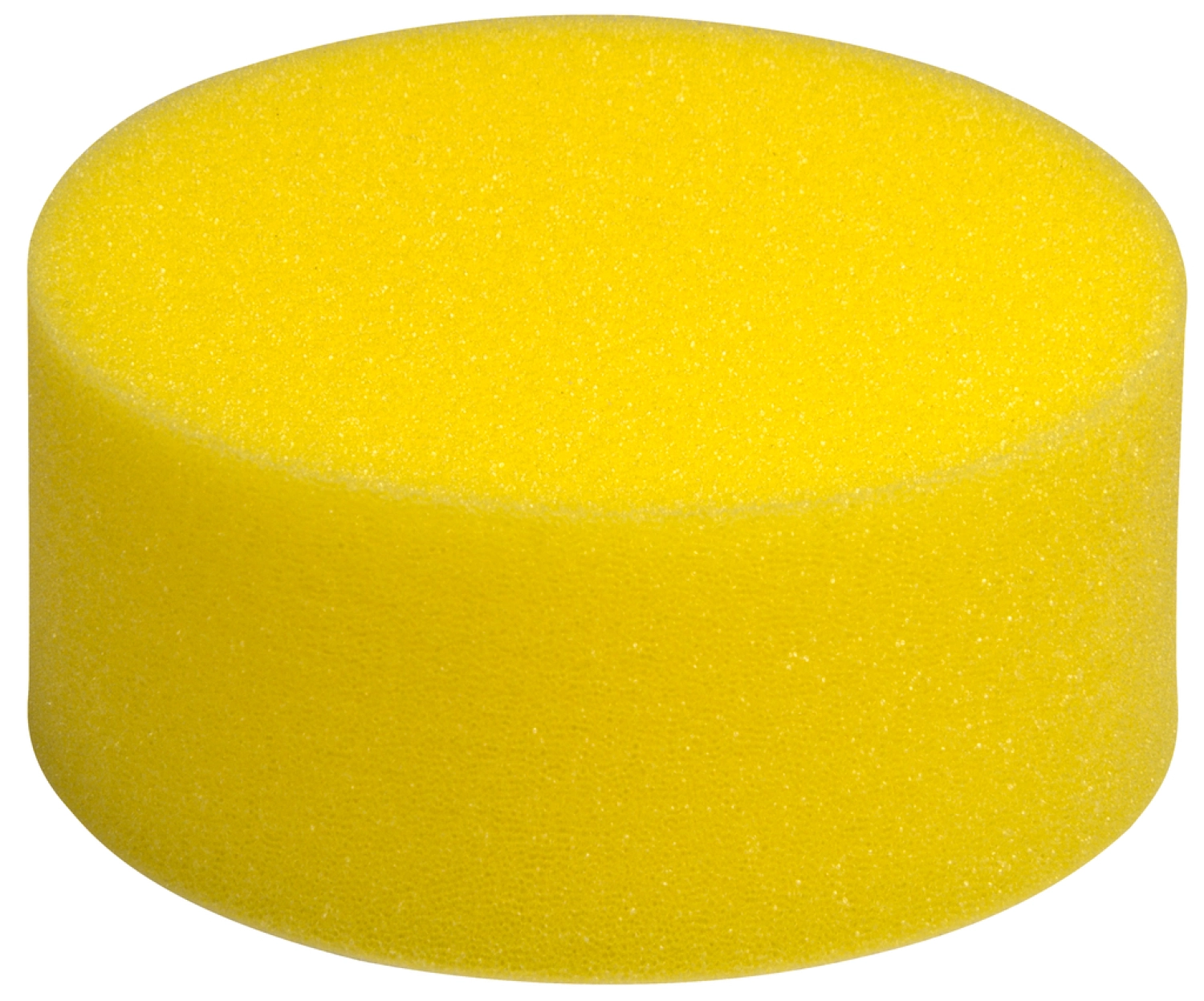 Makita 197893-5 Éponge - 100 mm-image