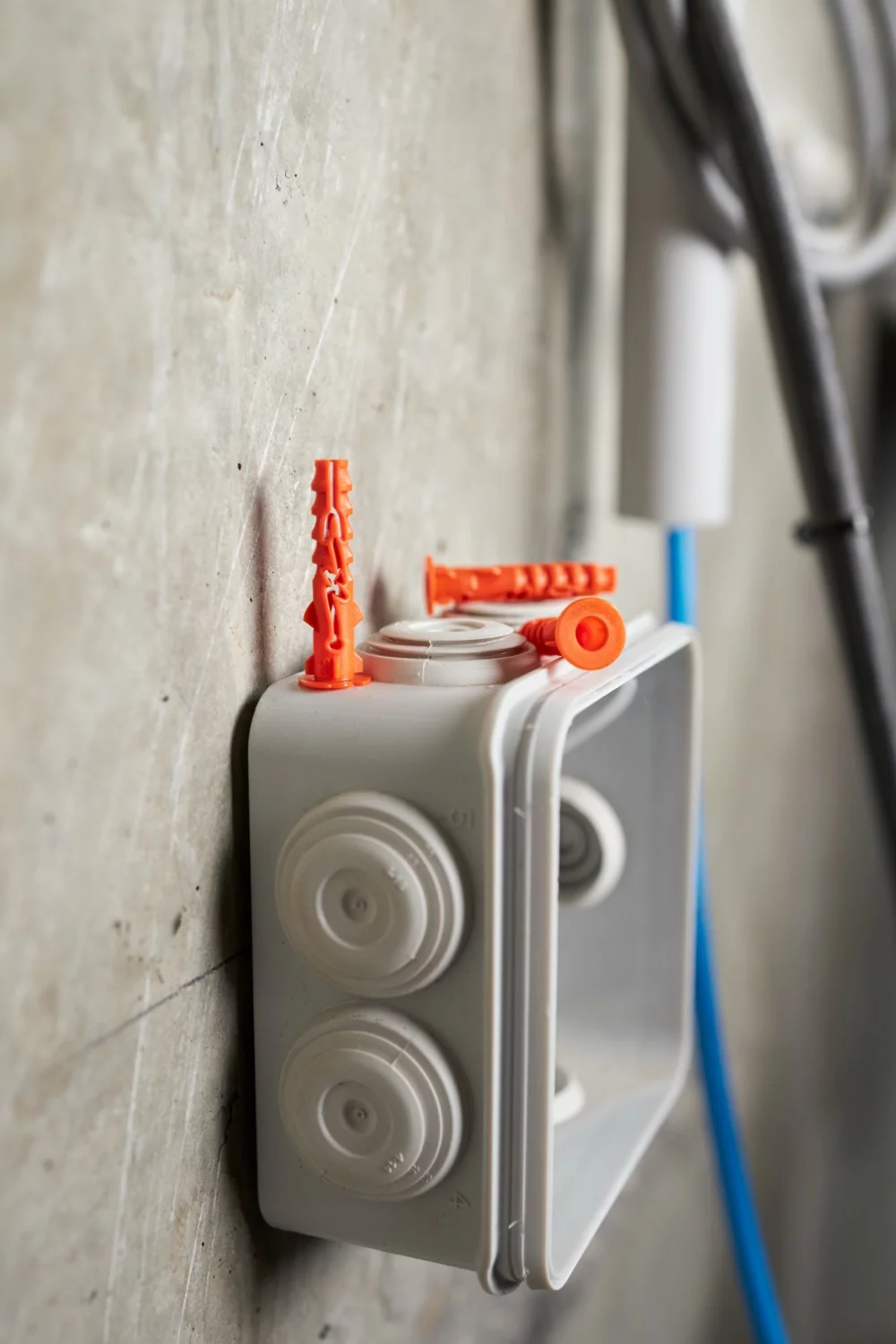 Spit 060139 Nylonplug D met kraag - 8 x 40mm (1000st)-image