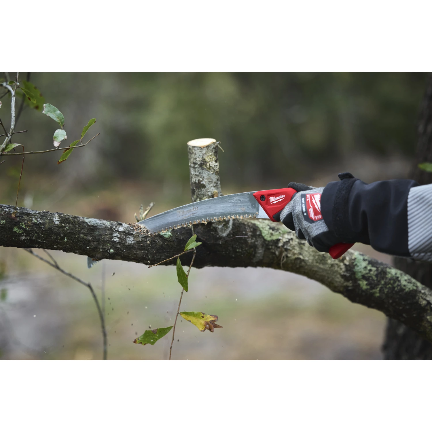 Milwaukee 4932498623 Scie courbe-image