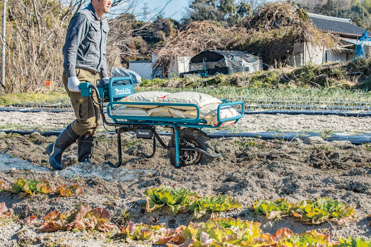 Makita DCU180ZX1 18V Li-Ion accu Kruiwagen met rek zonder tilbelasting - 130kg-image