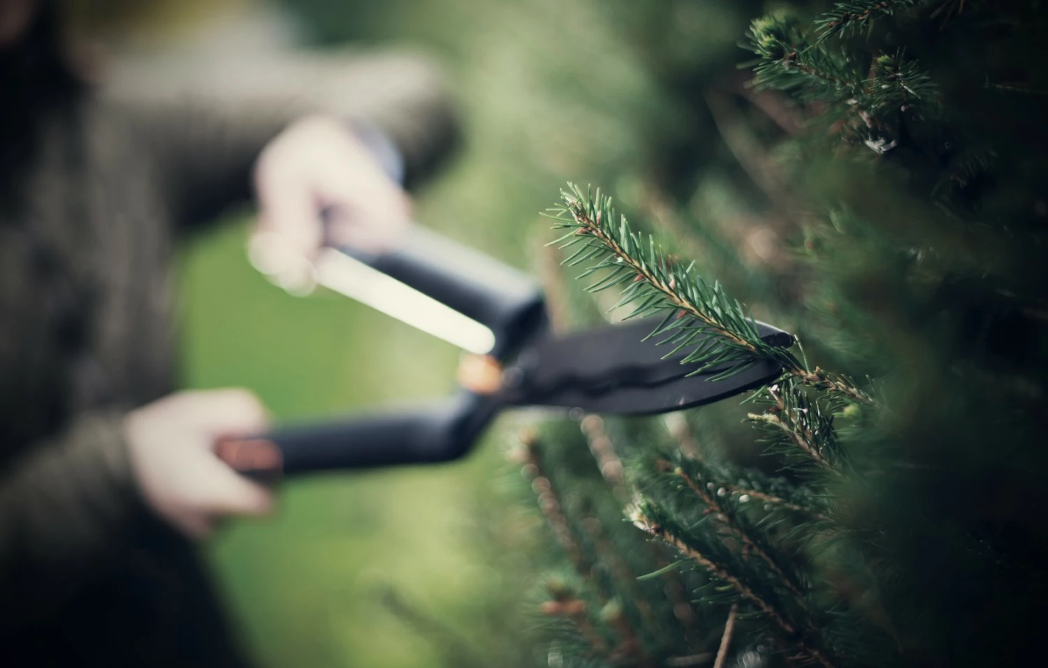 Fiskars HS22 Heggenschaar-image
