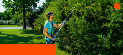 Sterk in de tuin.-image