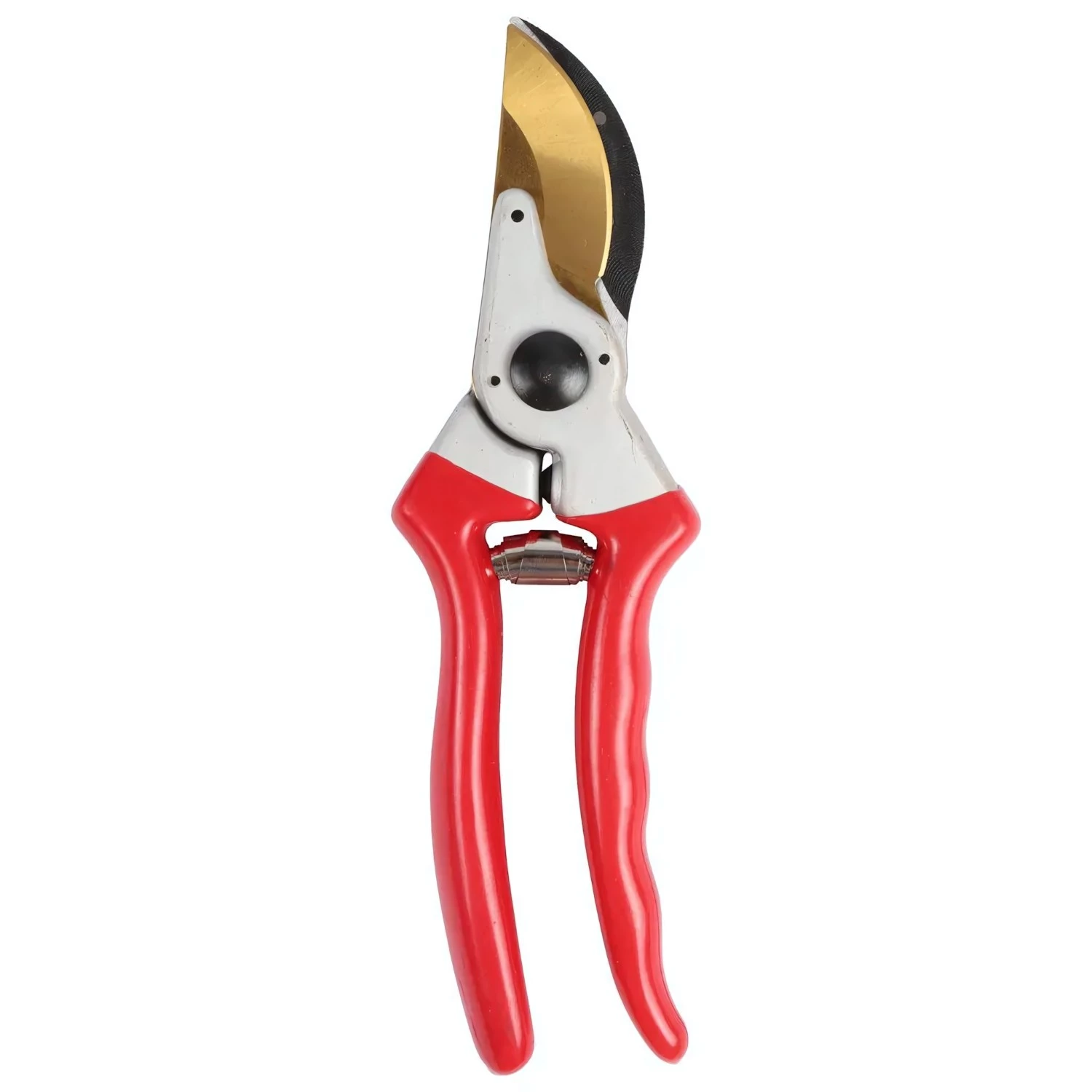 Talen Tools F191 Snoeischaar - Professioneel - Titanium - Voorbijsnijdend
