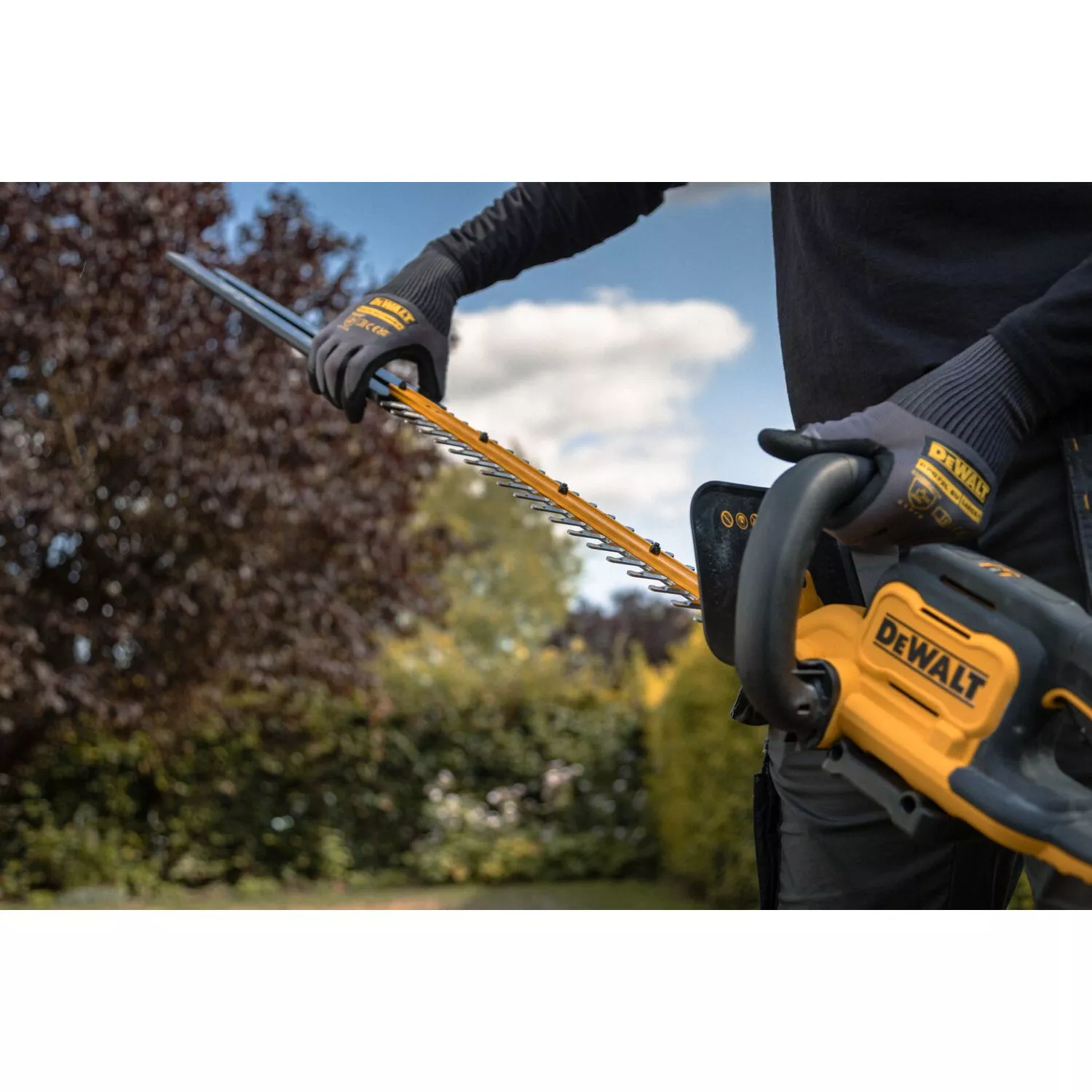 DeWALT DCMHT562N-XJ Corps de taille-haie à batterie Li-ion 18V XR - 550 mm-image