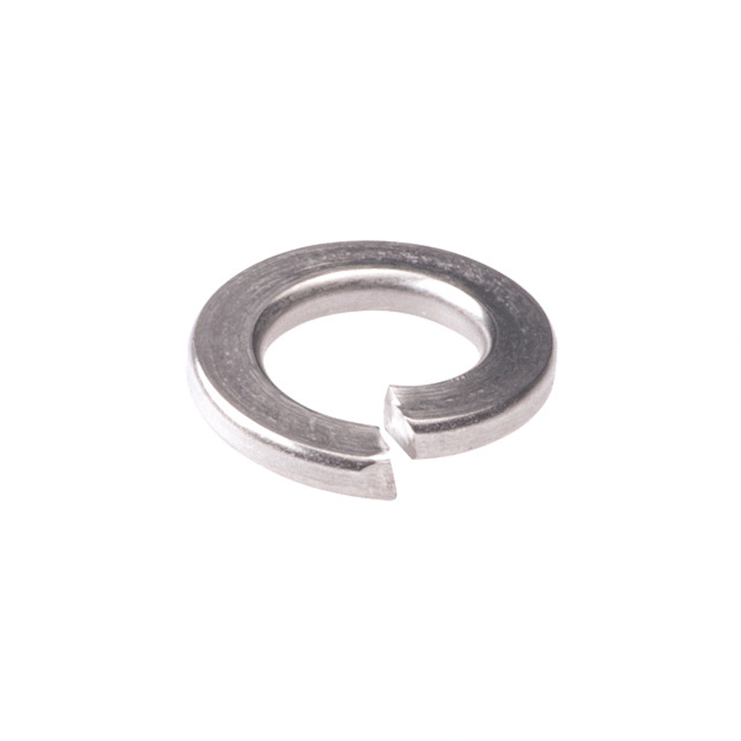 Proftec Veering - RVS - M10 (100st)