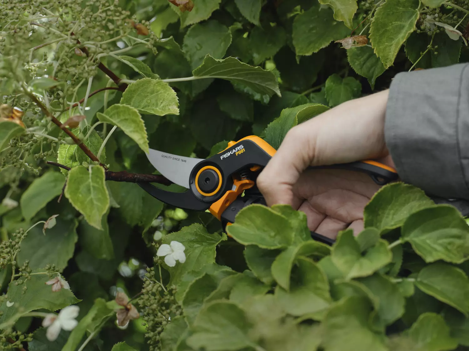 Fiskars P981 X-series Cisailles à bypass DualAction-image