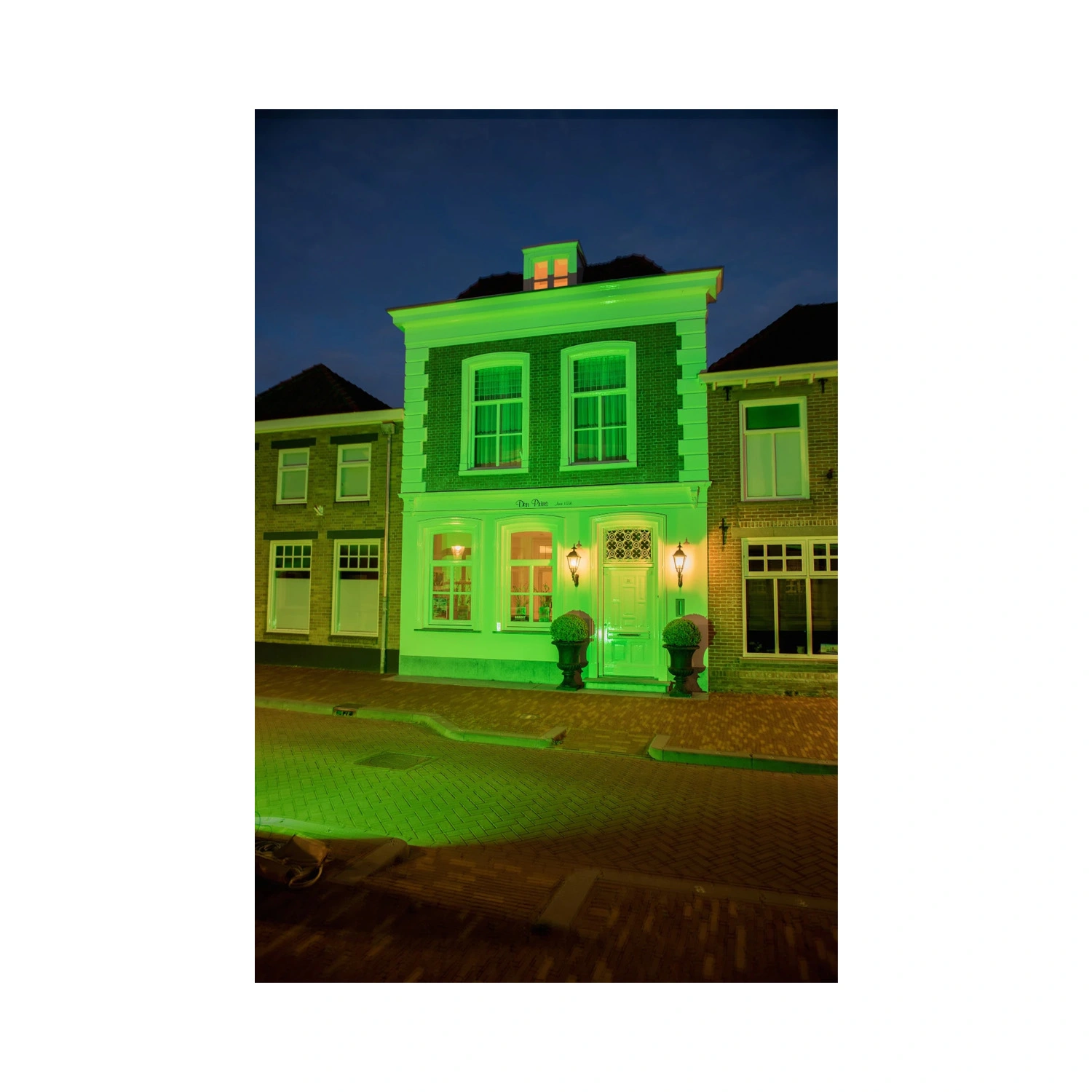 Bailey LED Schijnwerper - Groen - 50W - IP65