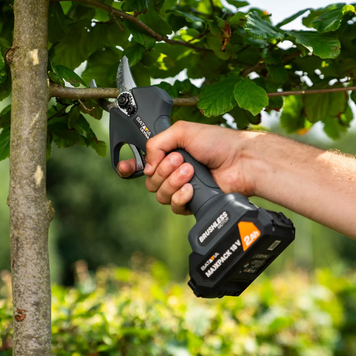 Batavia 7064778 Maxxpack Ultra 18V Li-ion sans fil de coupe sans fil - 30mm - carbon brushless-image