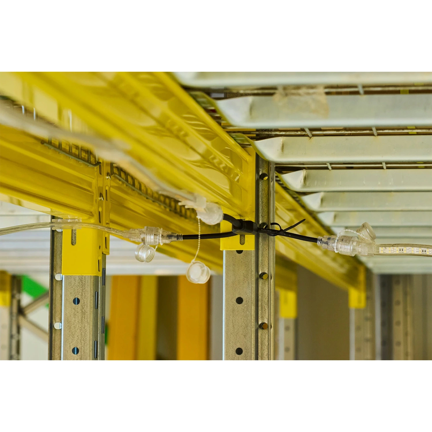 Bailey 146944 Splitter 2-uitgangen (2Y) voor LED Rope Plus-image