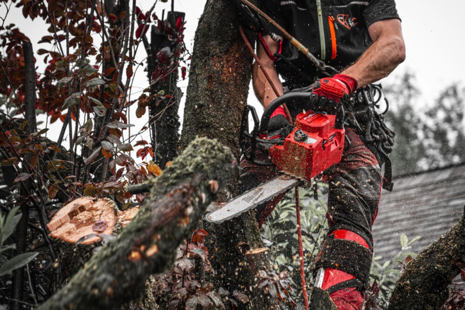 Milwaukee M18 FTCHS35-122 FUEL™ 18V Li-Ion accu kettingzaag set (2x 12.0Ah) - 35 cm-image