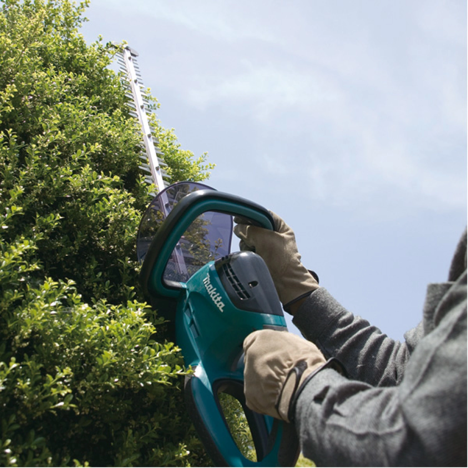 Makita UH6580 heggenschaar - 670W - 650mm-image