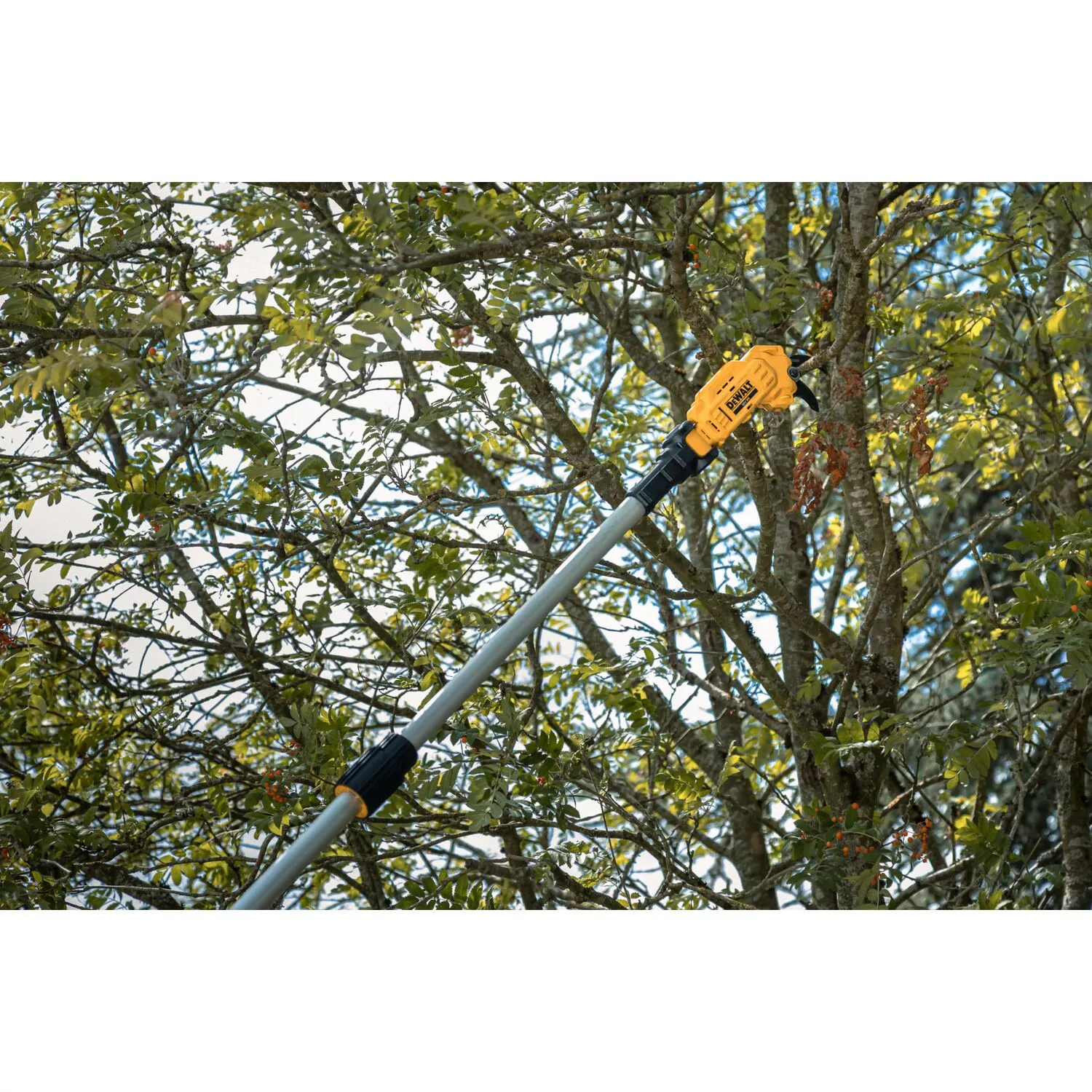 DeWALT DCMPP569N Corps de sécateur sans fil Li-ion 18 V-image