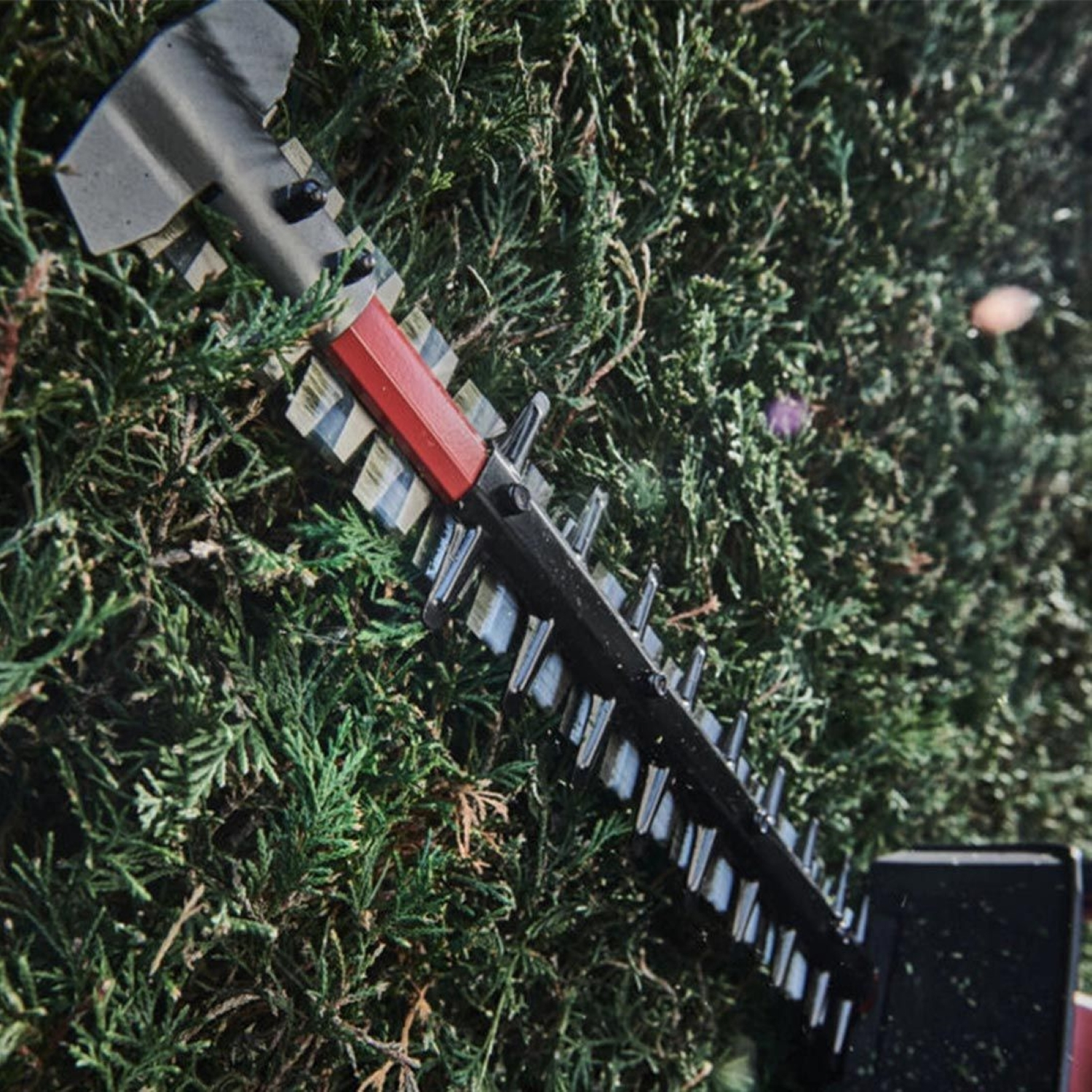 Milwaukee M18 FHET60-802 FUEL 18V Li-Ion batterie taille-haie sans fil - 600 mm-image