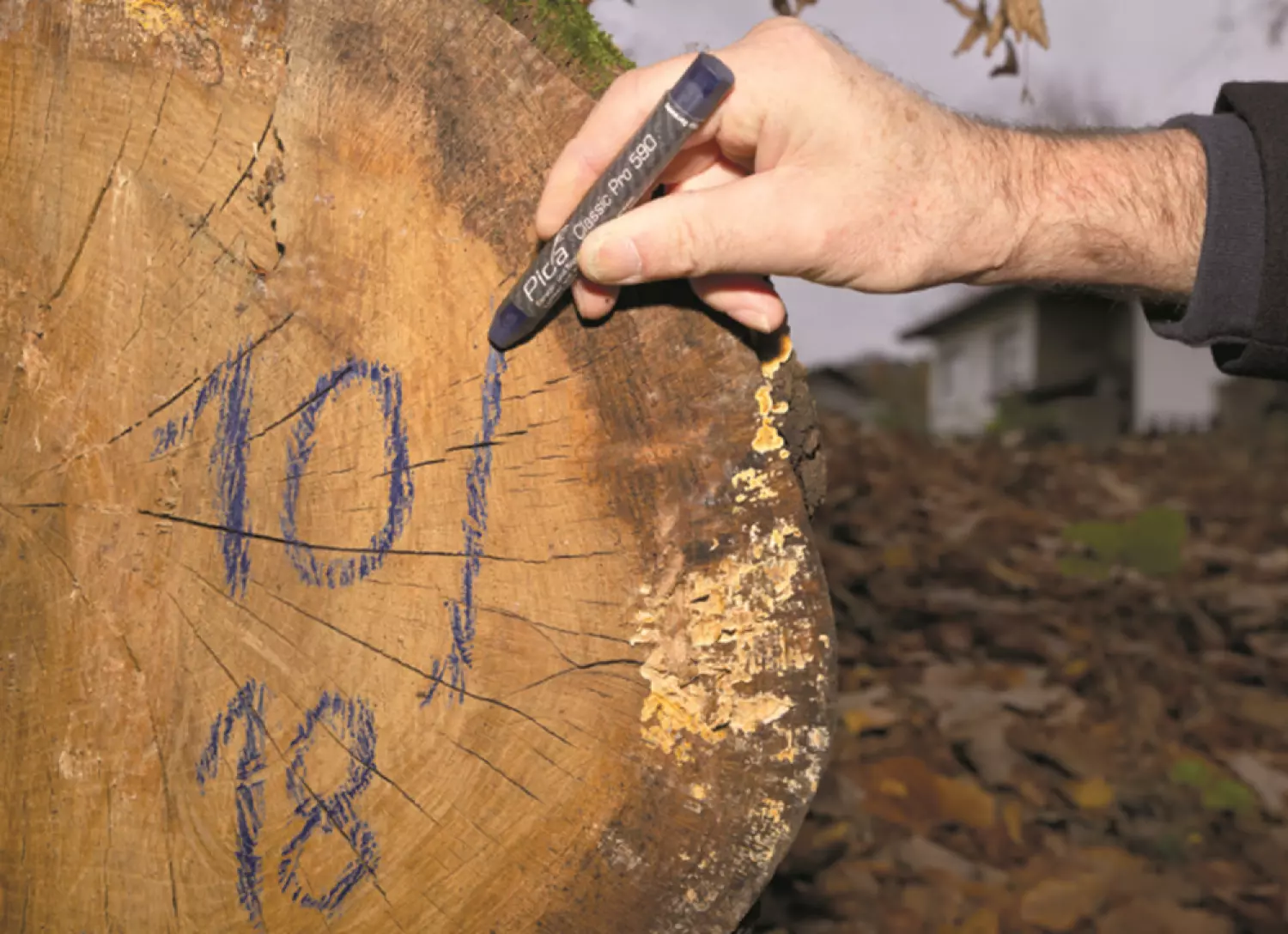 Pica 590/44 PRO Markeerkrijt - Geel - 12 x 120mm (12st)-image