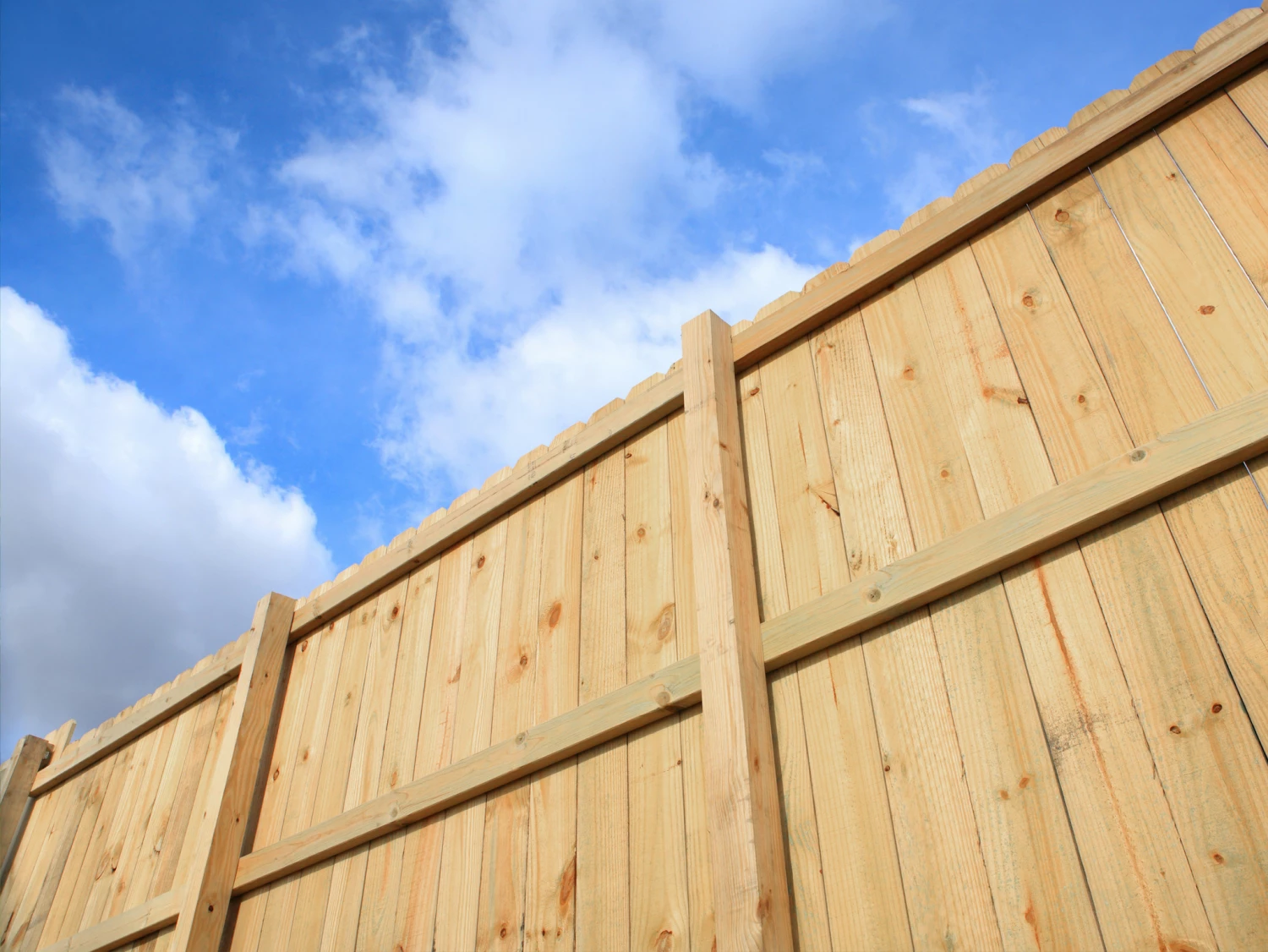 Finess 35326116 Teinture-image