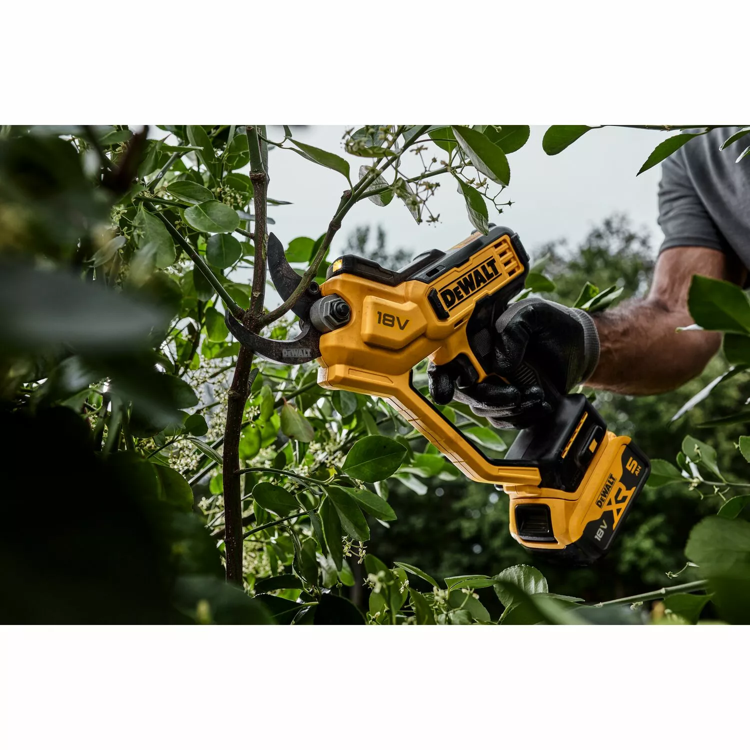 DeWALT DCMPP568P1 18V XR Li-Ion Accu Snoeischaar set (1x 5.0Ah Accu) - 38mm-image