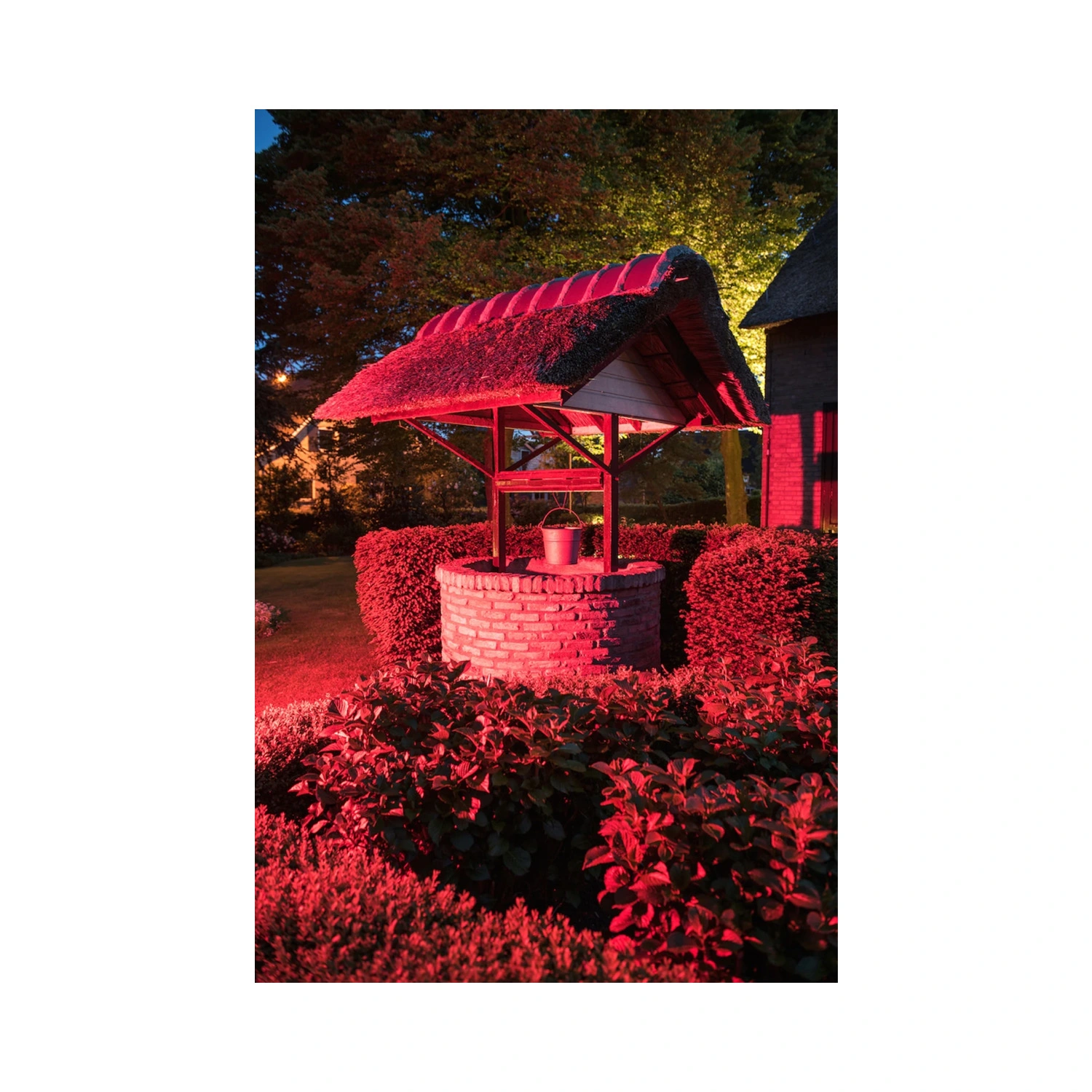 Bailey LED Schijnwerper - Rood - 50W - IP65
